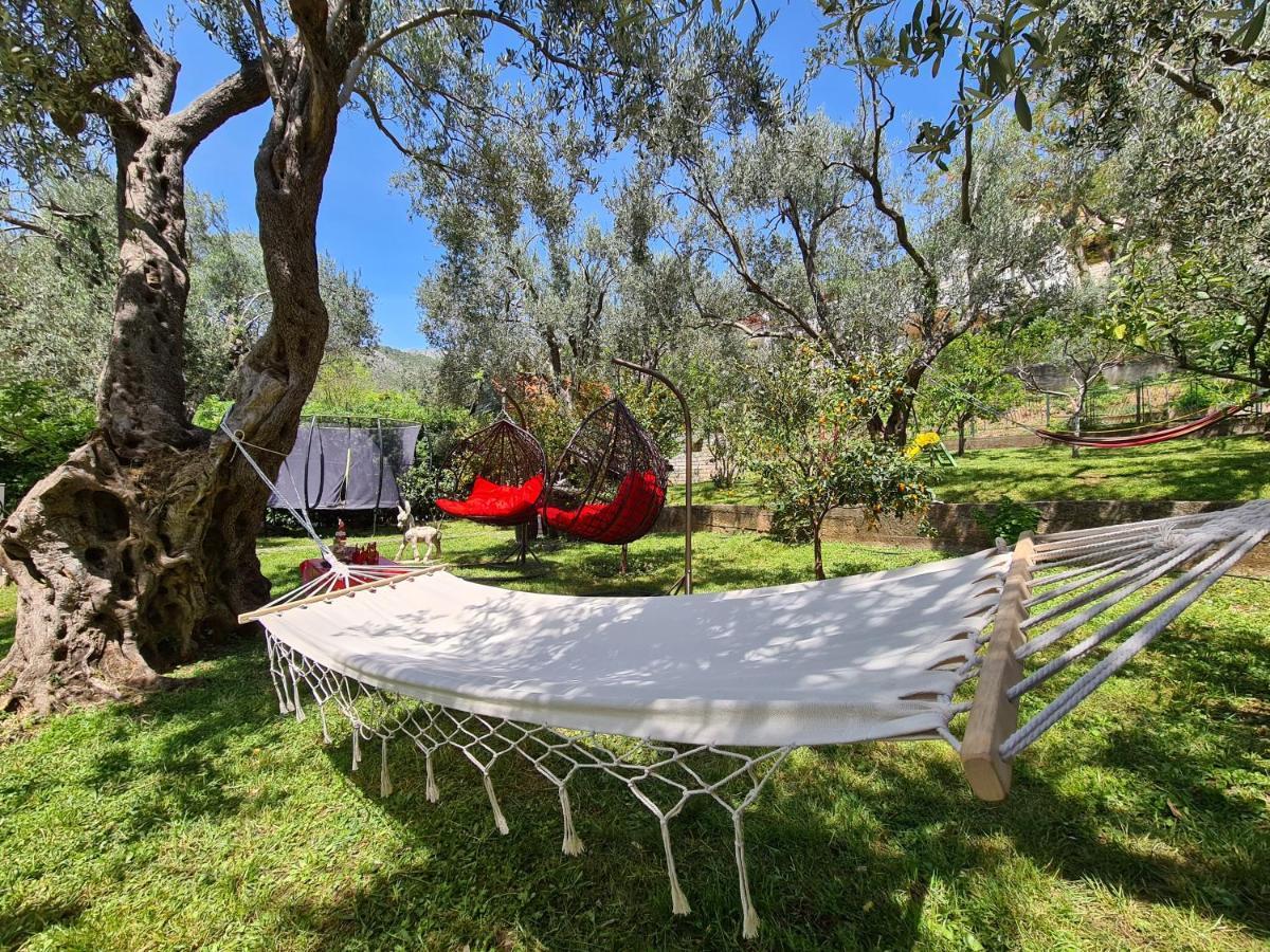 Olive Garden Apartment Petrovac Εξωτερικό φωτογραφία