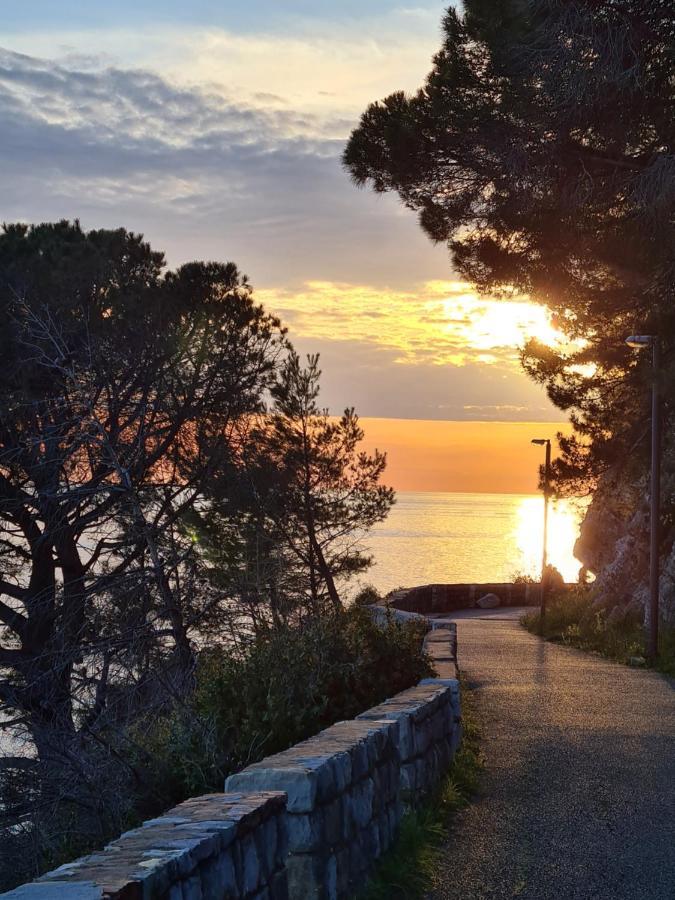 Olive Garden Apartment Petrovac Εξωτερικό φωτογραφία